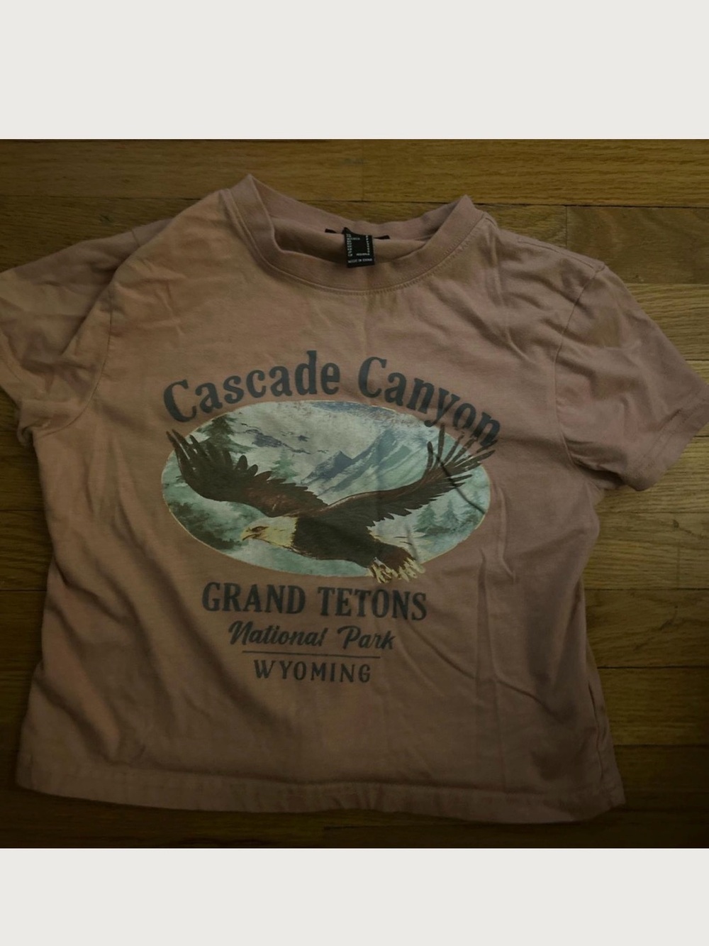 Forever 21 Mauve Graphic Eagle Crop Tee